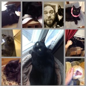 Meet your Posher, Liza